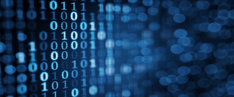 Relevante Daten in Insolvenzen