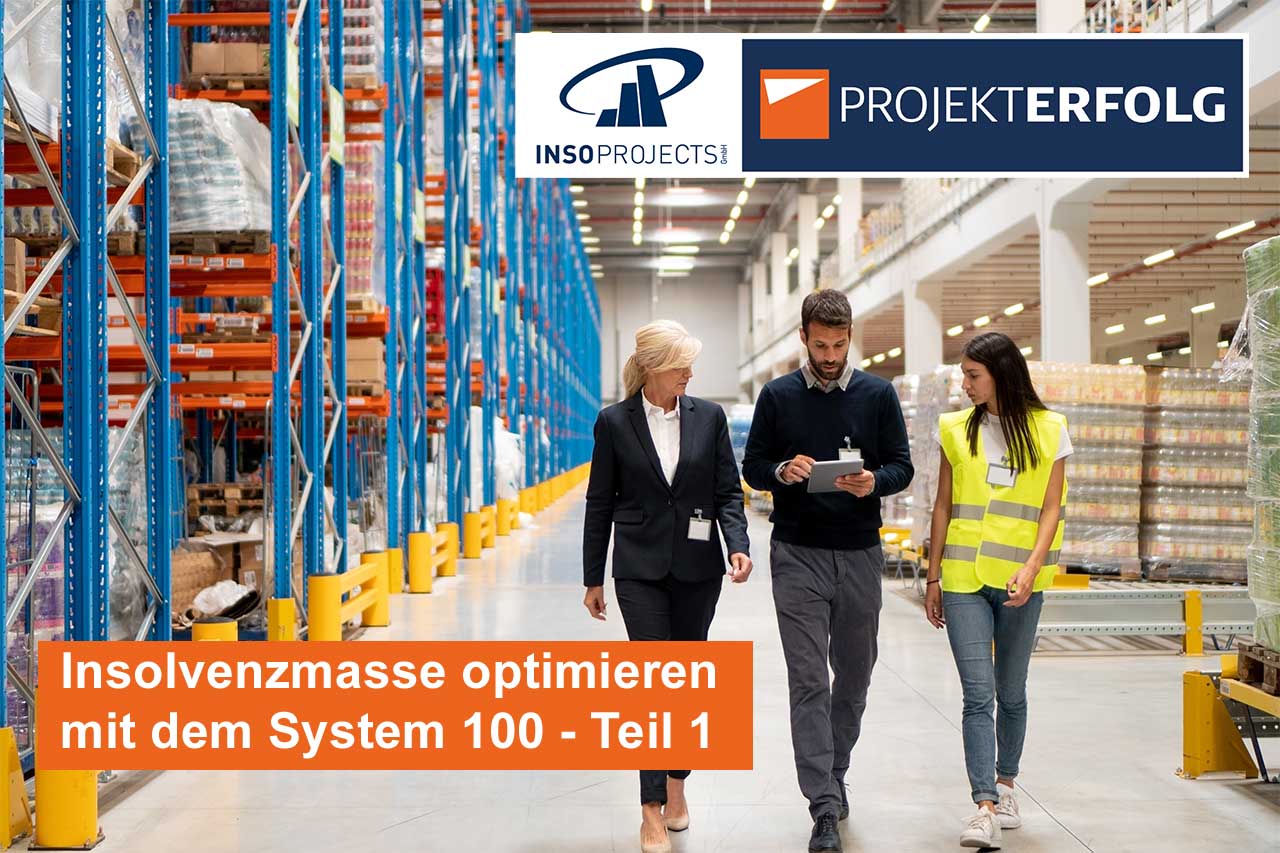 Insolvenzmasse optimieren mit dem System 100 – Teil 1