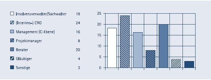 Wer trägt die Projektverantwortung?